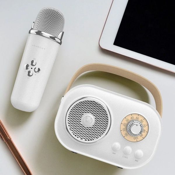Портативная Bluetooth колонка для караоке с микрофоном на аккумуляторе, Белая / Акустическая система для караоке 23457038801 фото