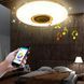 Світильник стельовий 60W, 38см RGB Lamp з Bluetooth колонкою / Кругла LED люстра з пультом керування 23456733701 фото 6