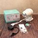 Вулична IP камера відеоспостереження з віддаленим доступом CAMERA CAM 6 WIFI 360/90 2,0mp / Поворотна IP камера 234561879 фото 10