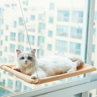 Лежанка на вікно для кота Sunny Window Seat Cat Bed / Віконна лежанка для котів / Підвісний гамак для кота 234566879 фото