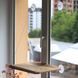 Лежанка на вікно для кота Sunny Window Seat Cat Bed / Віконна лежанка для котів / Підвісний гамак для кота 234566879 фото 9